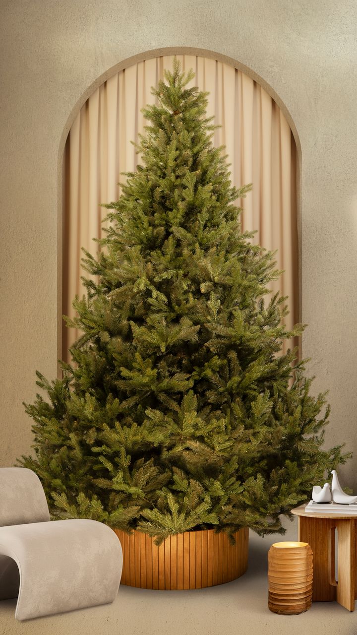 mimdemi-280sm---dizaineruli-nadzvis-khe-shako-da-ninosgan-photo-2