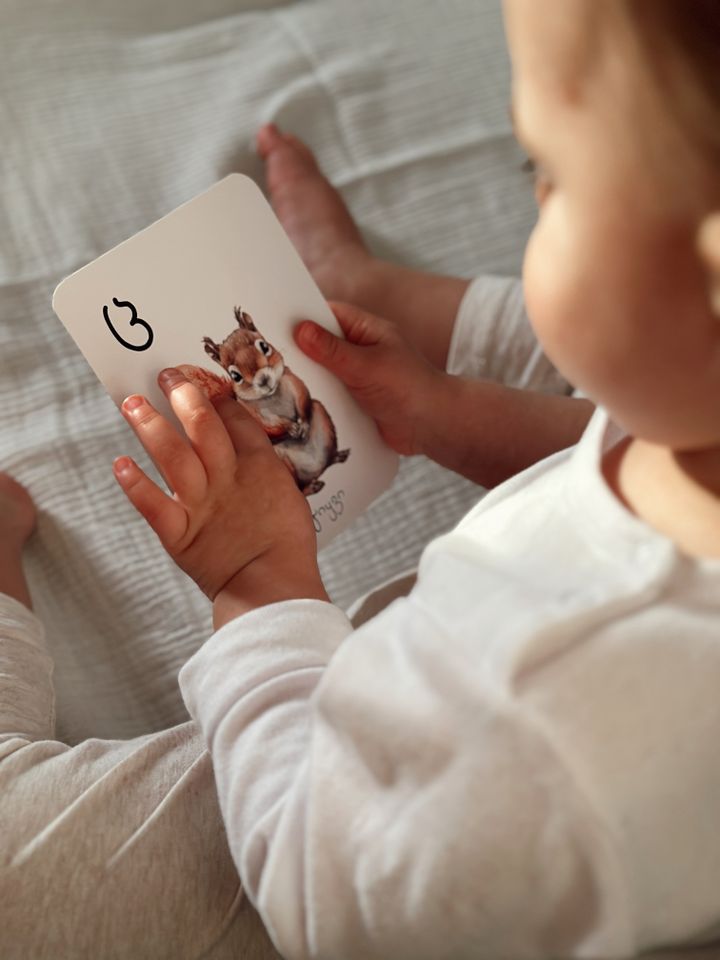 qartuli-anbani---ganmavitarebeli-baratebi-photo-3