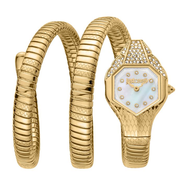 just-cavalli-jc1l193m0025-qalis-saati