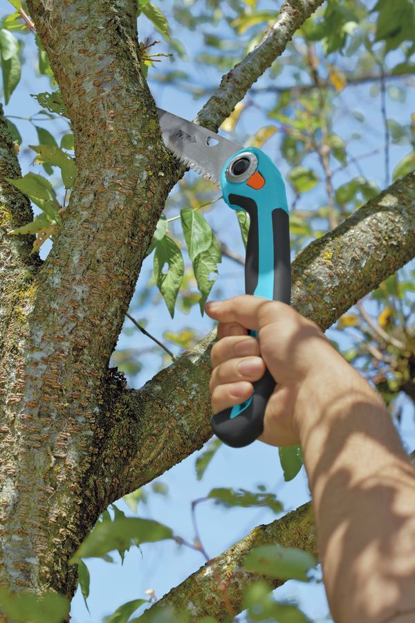 dasaketsi-kherkhi-200-p-garden-saw-200-p-gardena-photo-2