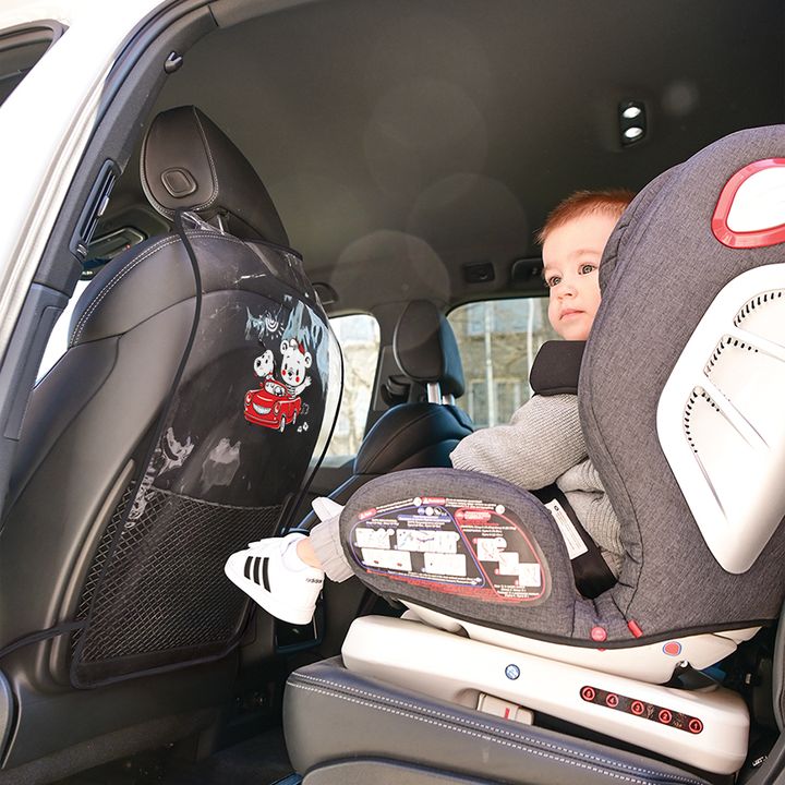 lorelli-manqanis-savardzlis-damtsavi-photo-3