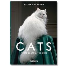 Product image of Cats