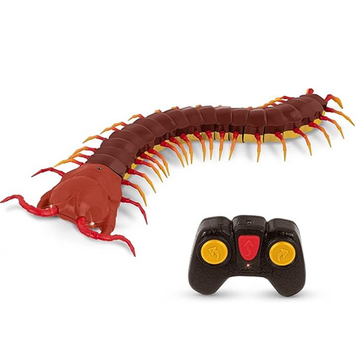 terra-distantsiurad-samartavi-satamasho-mravalfekha