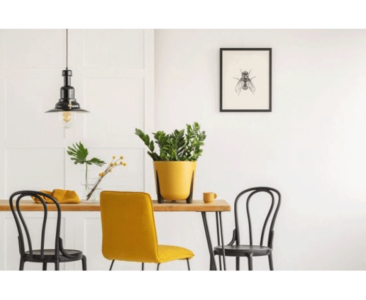 lamela-frida-260-qviteli-plastmasis-qotani-photo-2
