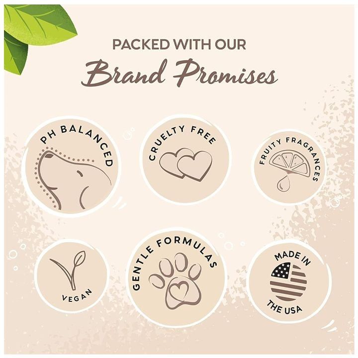 pet-head-tatebis-da-drunchis-balzami-dzaghlebistvis-da-katebistvis-photo-3