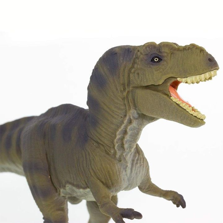 safari-tyrannosaurus-rex-satamasho-figura-photo-3