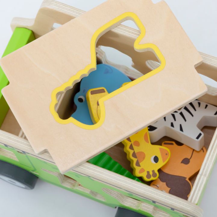 viga-khis-satamasho-manqana-tskhovelebit-photo-4