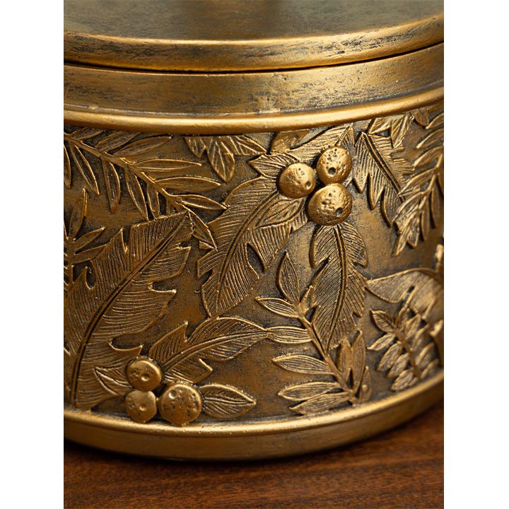 chehoma-zardakhsha-sakhuravit-photo-3