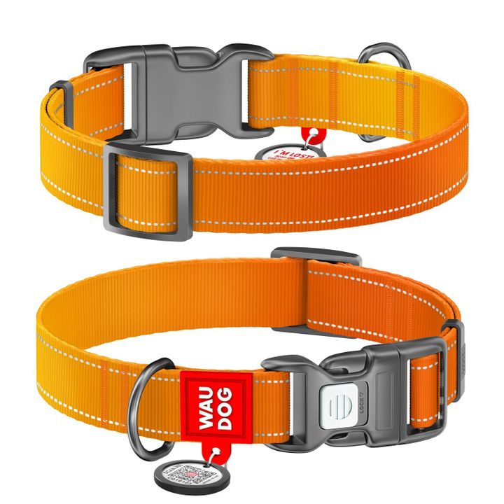 collar-dzaghlis-neilonis-saqelo-qr-pasportit-zoma-m-28-40sm-20mm