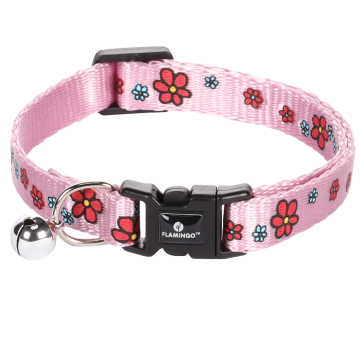 flamingo-katis-saqelo-photo-2