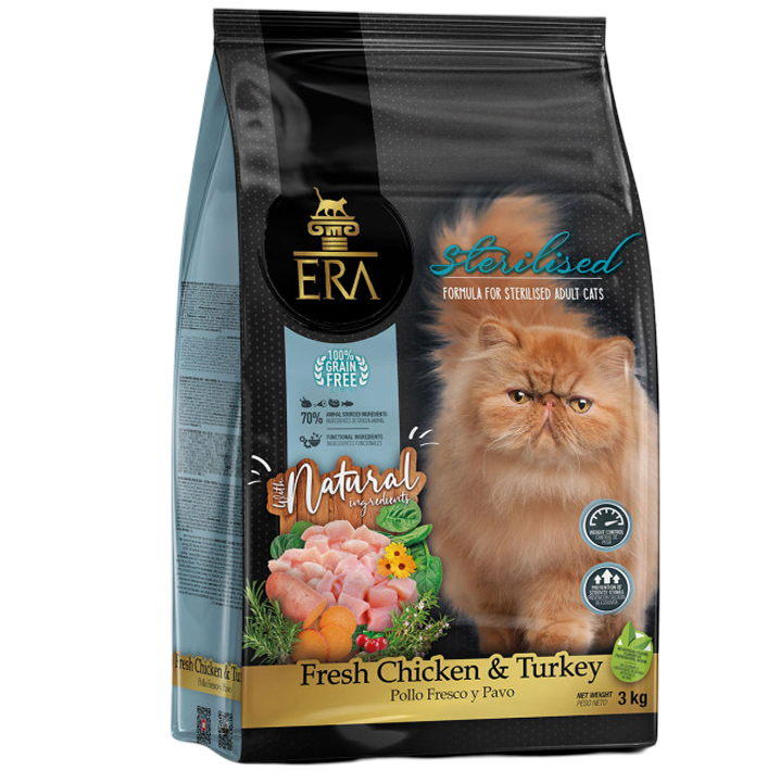 era-millenium-katis-sakvebi