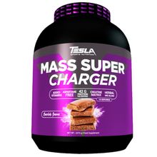 Product image of TESLA Mass Super Charger გეინერი