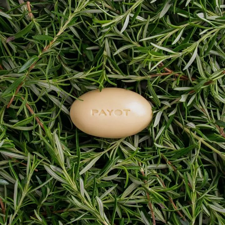 payot-herbier-barre-de-massage-bio-50gr-sakhisa-da-skheulis-saponi-photo-4