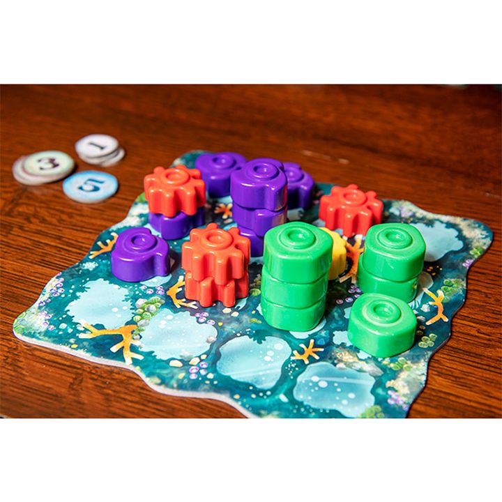 samagido-tamashi-reef-photo-3