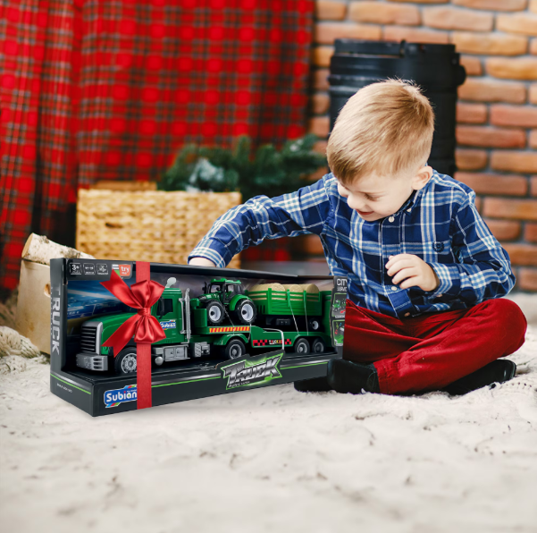 subian-satamasho-fermis-nakrebi-photo-4