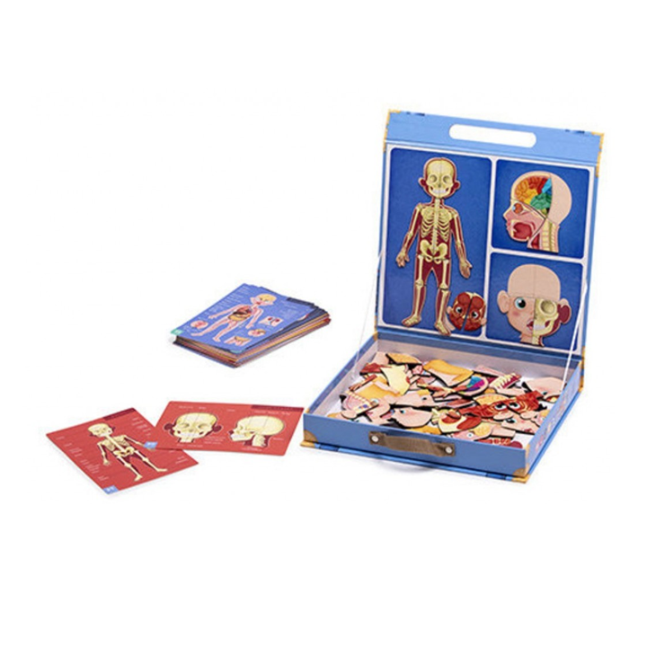 eureka-kids-human-body-konstruqtori-photo-2