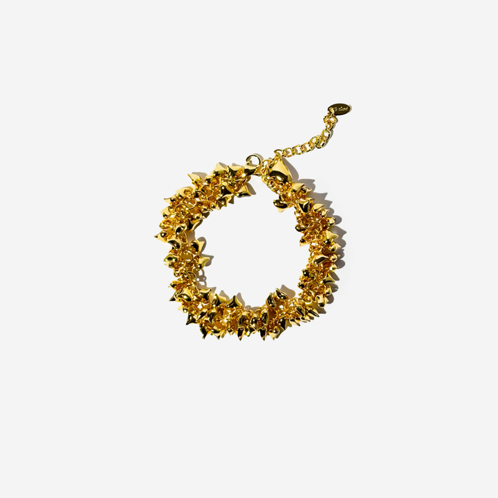 titanis-mooqrovili-samajuri