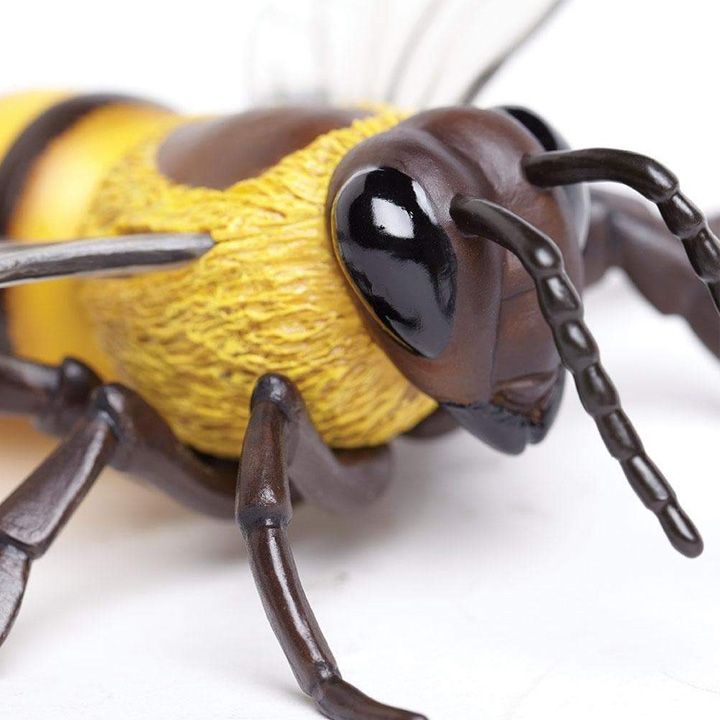 safari-honey-bee-satamasho-figura-photo-2