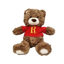 Product image of Harry Potter 10in. Sweatshirt Gift Bear Plush Toy(Red)  რბილი სათამაშო