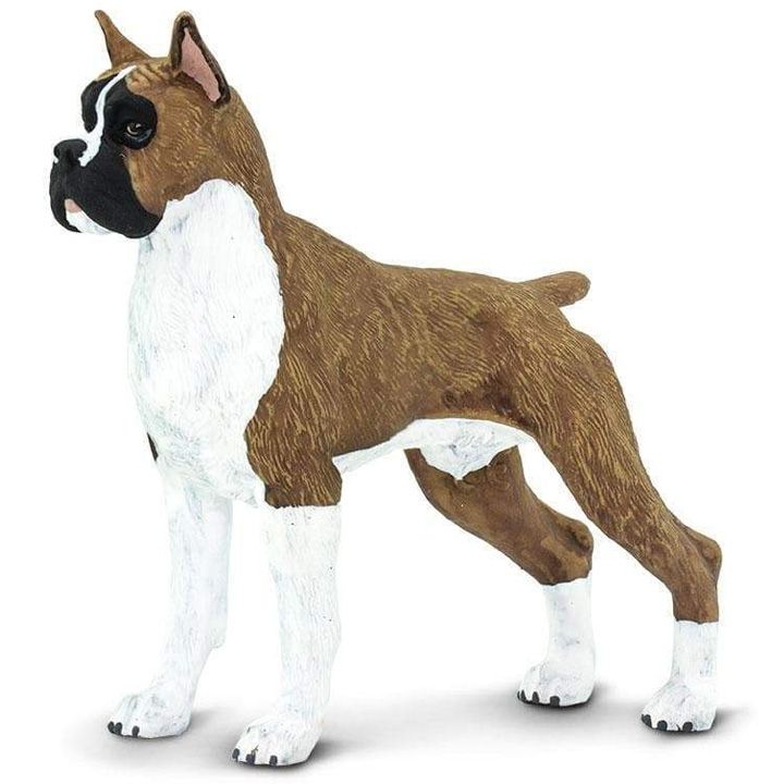 safari-boxer-satamasho-figura-photo-4