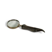 Product image of LABORATORY MY HOME გამადიდებელი მინდა