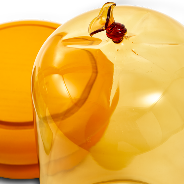 laboratory-my-home-qila-photo-2