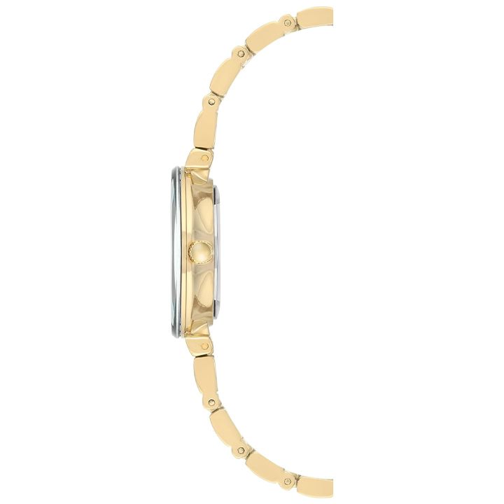 anne-klein-ak2434bkgb-qalis-saati-photo-2