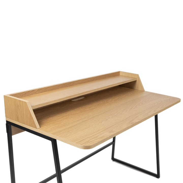 laboratory-my-home-samushao-magida-photo-3