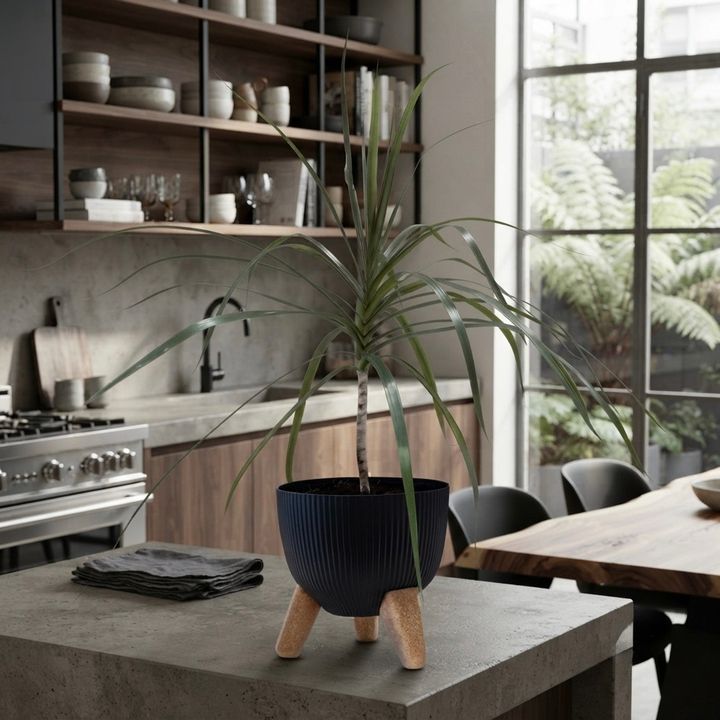 dear-plants-dratsena-plastmasis-qotnit-photo-3