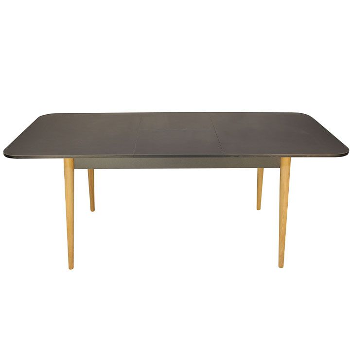 family-house-sasadilo-otakhis-gasashleli-magida-photo-3