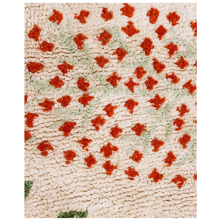 lorena-canals-botanic-plants-khelnaketi-sabavshvo-khalicha-photo-4