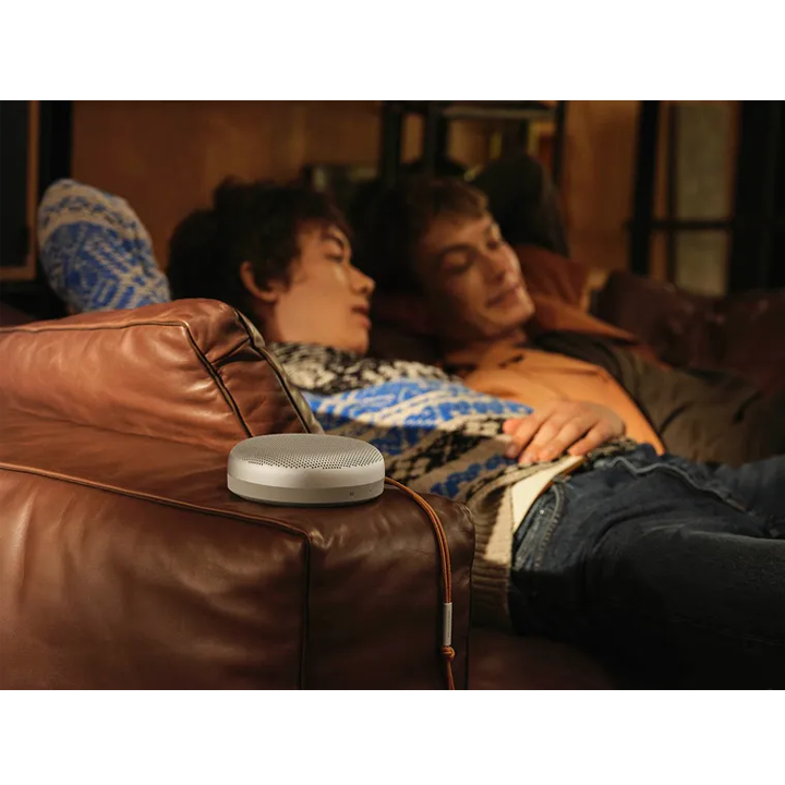 beosound-a1-2-x-30-w-portatuli-dinamiki-photo-2