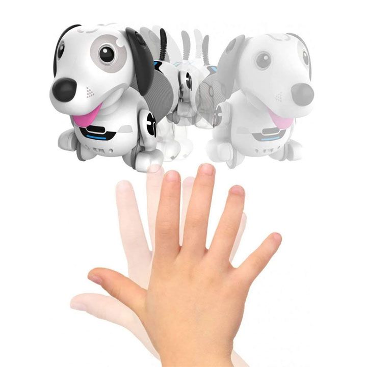 silverlit-robo-dackel-dzaghli-dakeli-photo-3
