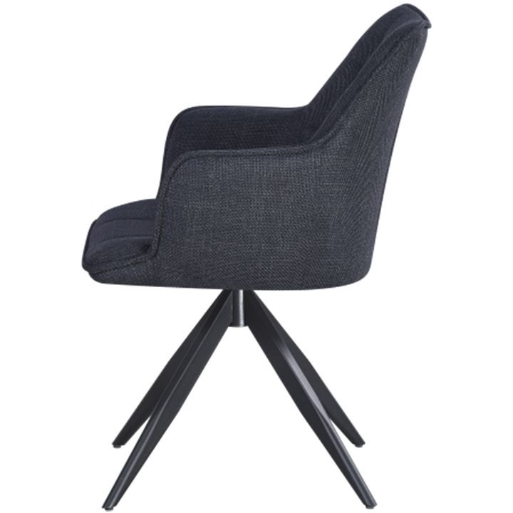 akhali-aveji-mbrunavi-skami-rex-photo-4