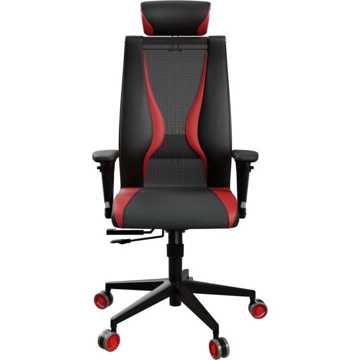 ergolife-synchrosit-10-b2-170d-geimeruli-savardzeli-photo-4