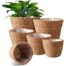 Product image of მცენარის კალათა L
