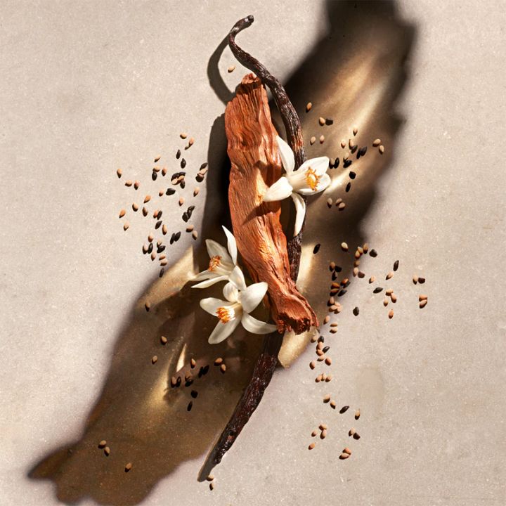 zadig-voltare-sunamos-sasachuqre-nakrebi-photo-3