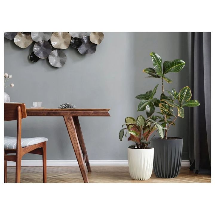 lamela-mira-250-gadamushavebuli-plastmasis-62-l-kremisferi-qvavilis-qotani-photo-3