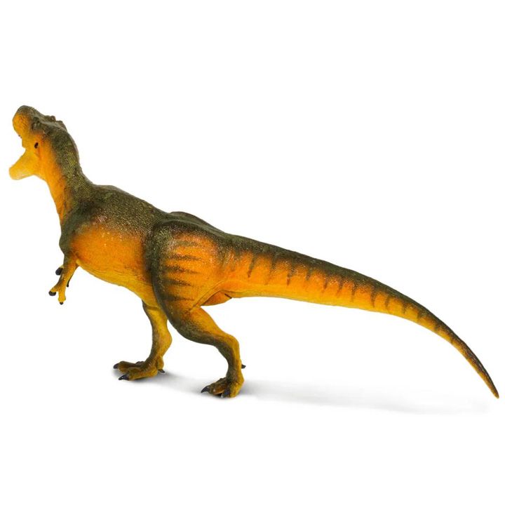 safari-daspletosaurus-toy-satamasho-figura-photo-2