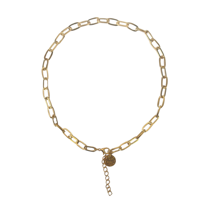 blumine-jachvis-qelsabami-mrgvali-firfitis-kulonit-n117