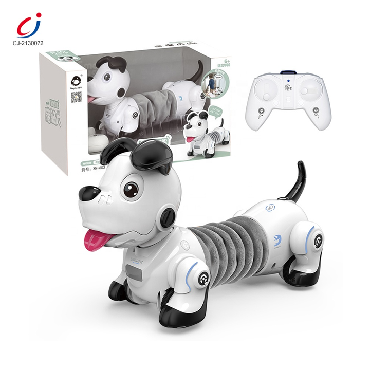 satamasho-roboti-dzaghli