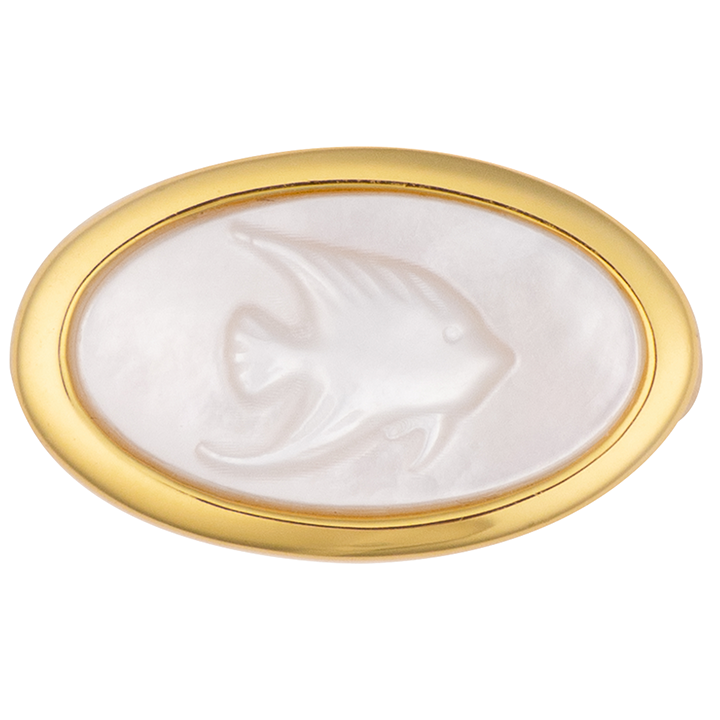 eshvi-mop-bechedi-photo-2