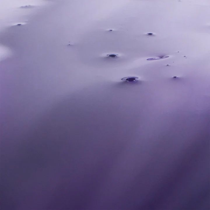 milkshake-silver-shine-light-shampoo-shampuni-photo-2