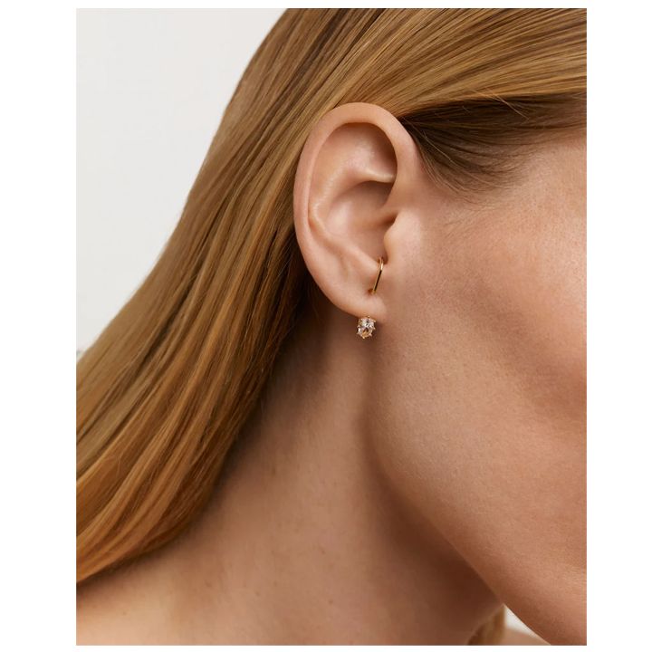 lila-single-ear-saqure-photo-3