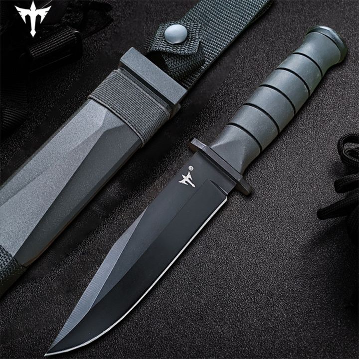 bat-dana-taqtikuri-photo-2