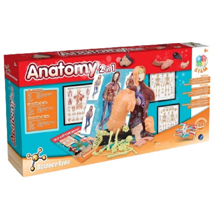 science4you-anatomy-2-in-1-shemetsnebiti-satamasho-photo-4