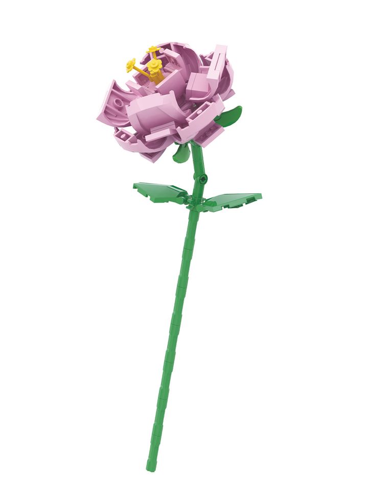 asatsqobi-satamashomultiflora-rose-building-blocks