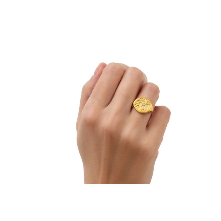 chronos-bechedi-mkhedris-gamosakhulebit-photo-2