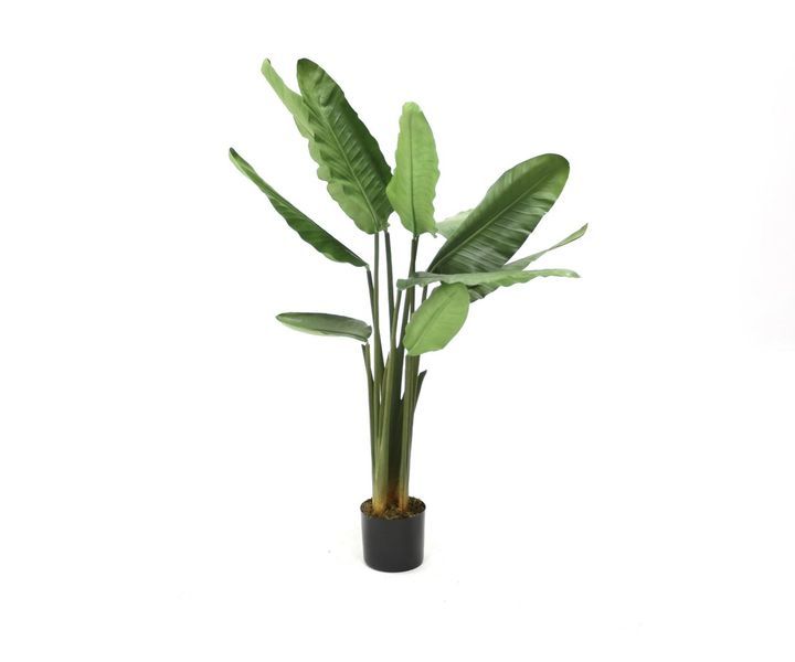 laboratory-my-home-khelovnuri-mtsenare