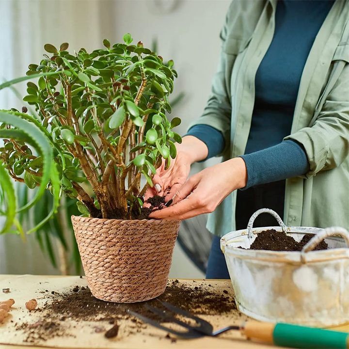 mtsenaris-kalata-m-photo-4